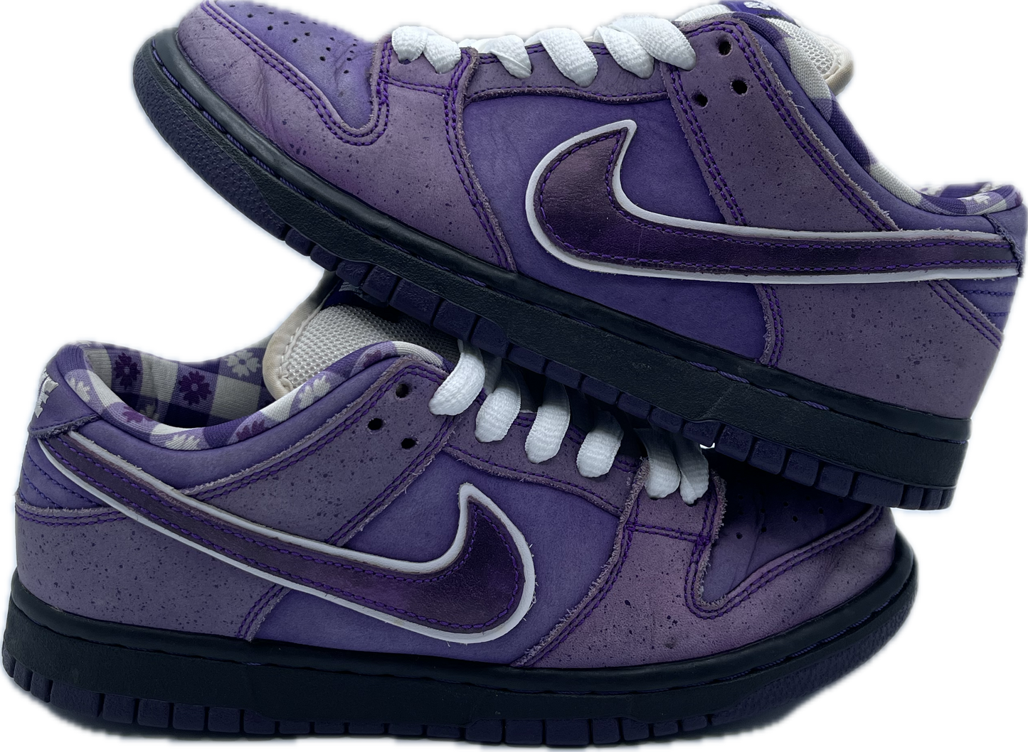 Dunk low SB Lobster Purple Concept Used