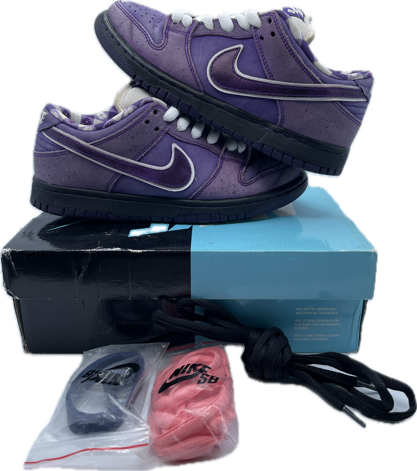 Dunk low SB Lobster Purple Concept Used